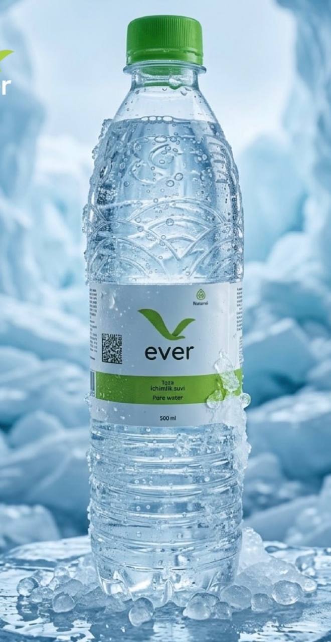 Ever Газированная 0,5л